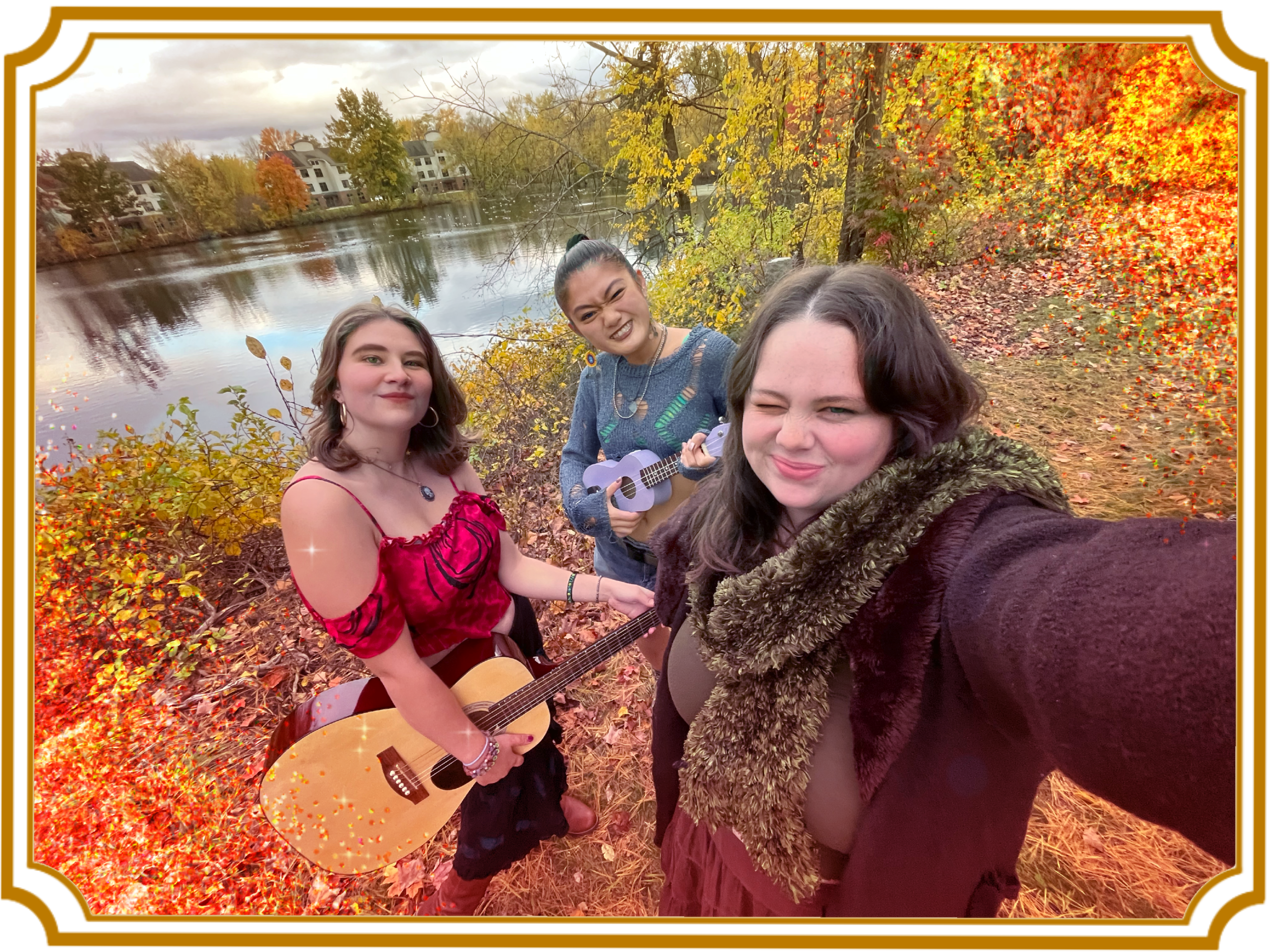 Driftwood Forest Band Picture